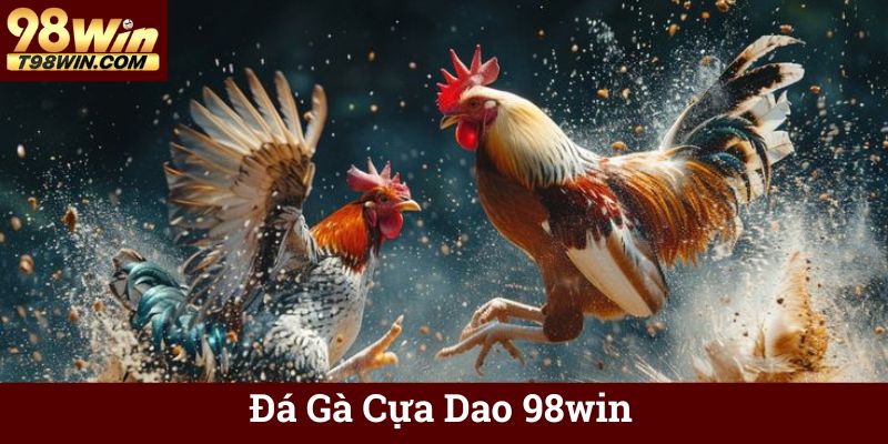 Đá Gà Cựa Dao 98win Trực Tuyến, Cá Cược Minh Bạch, Thắng Lớn 4 Đá Gà Cựa Dao 98win